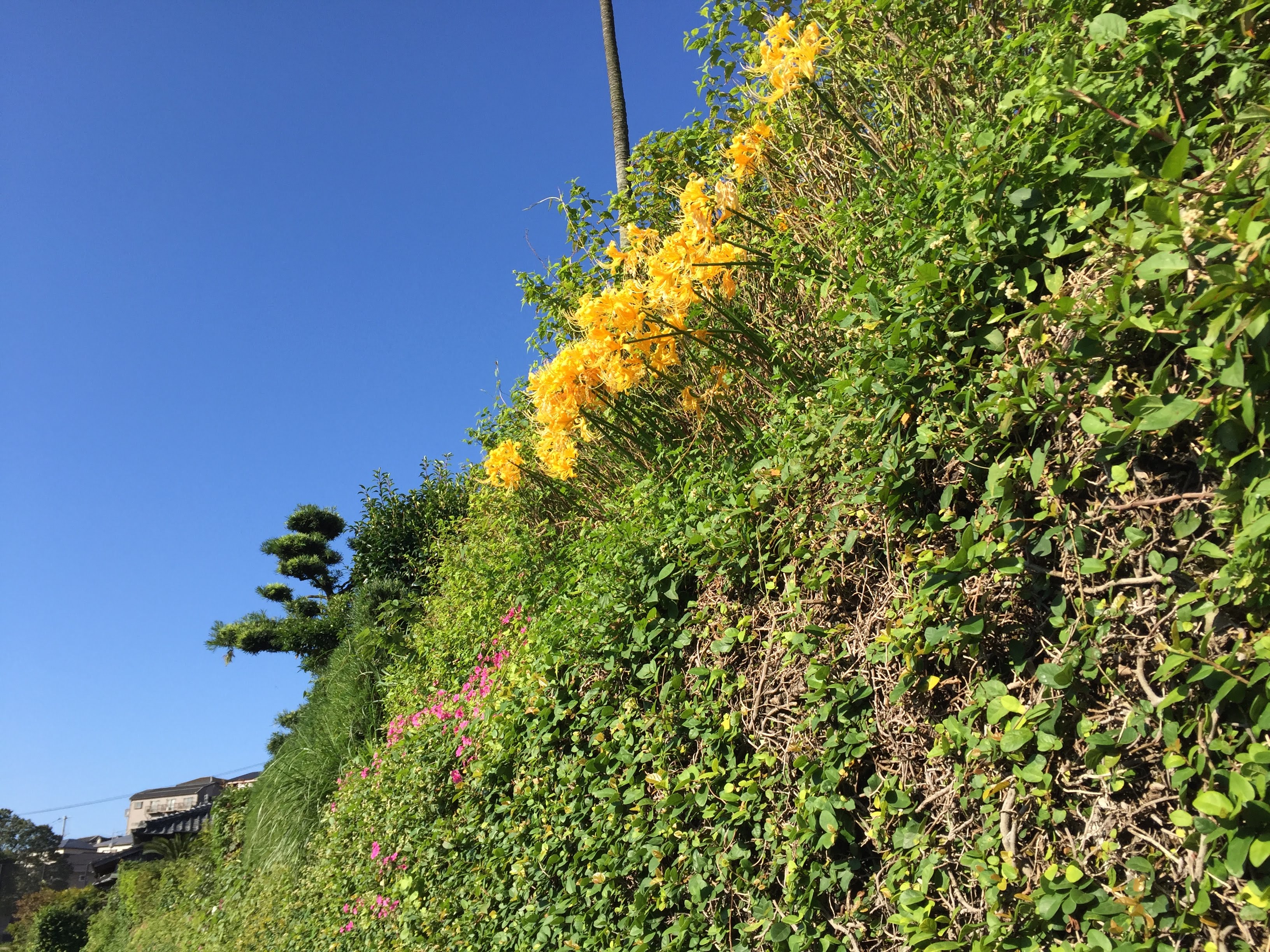 一向に減らない仕事。でも、解決策は分かっている。 #1163