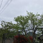 家族そろって晩ご飯。ああ、幸せ時間。 #3176