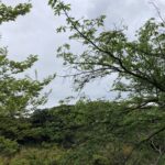 今日も行くところがある。自分を待っている人がいる。 #3177