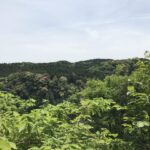 バス運転手デビュー。全ては楽しんだもの勝ち。 #3195