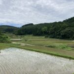 毎日夢を叶える生活。幸せな人生だ。 #3237