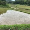気分が落ち着かない平日休み。やはり今がいい。 #3239