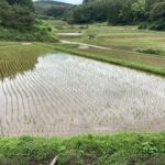気分が落ち着かない平日休み。やはり今がいい。 #3239