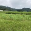今日も一日、よく働いた。 #3241