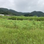 今日も一日、よく働いた。 #3241