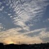 これが最後かも、と思いながら楽しむ。 #3217