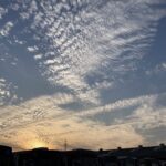 これが最後かも、と思いながら楽しむ。 #3217