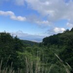 体力的には大変。でも、生きている感覚。 #3219