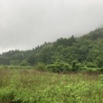 ヒヤリハット発生。でも、無事に一日が終わった。 #3231
