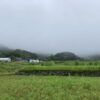 バス運転士になって手に入れた健康習慣とは？ #3226
