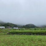 バス運転士になって手に入れた健康習慣とは？ #3226