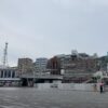 今日は仕事休み。でも、心から楽しめないのはなぜ？ #3227
