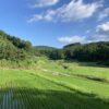 まずは今の仕事をやり切る。後悔しないために。 #3253