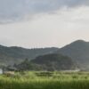 いつもの一日。それが幸せ。 #3255