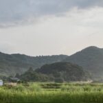 いつもの一日。それが幸せ。 #3255