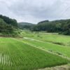 夢を実現し続ける毎日。いつまで続く？ #3259
