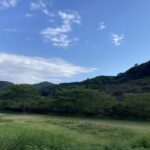 今日も路線バスの運転手。初心を忘れない。 #3261