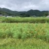 今日も一日、よく働いた。 #3289