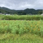 今日も一日、よく働いた。 #3289