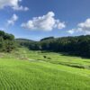 休日を他人に決めてもらう喜び。 #3292