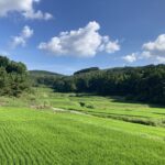 休日を他人に決めてもらう喜び。 #3292