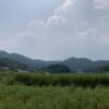 納得の後悔。でも、頭と心は別だった。 #3294