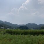 納得の後悔。でも、頭と心は別だった。 #3294