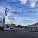 職業選択の正解とは。憧れの仕事がベストとは限らない？ #3301