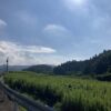 ああ、自分の強みが活かせない世界で生きる辛さよ。 #3308