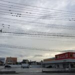 ここにいて、ここにいない。一体自分はどこにいる？ #3321