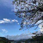 「ありがとう」の応酬。それが路線バス運転手。 #3325