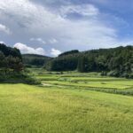 どうすれば今の人生に満足する？自分でも分からない。 #3327