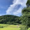 後悔しても、涙は出ない。その理由とは？ #3326