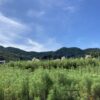 今日はゆっくり休んでいい、と思えるありがたさ。 #3339