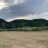 今日も仕事が無事に終わった。それがいい。 #3338
