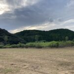 今日も仕事が無事に終わった。それがいい。 #3338