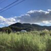 こうなる可能性があることは、分かっていたけれど。。。 #3343