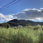 こうなる可能性があることは、分かっていたけれど。。。 #3343