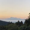 選択しなかった道に、未来は存在しない。分かっているけれど。。。 #3344
