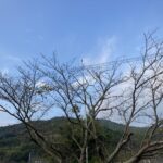 休日出勤、悪くない。 #3346