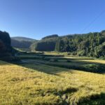 仕事の休憩時間、缶コーヒーや間食を始めた理由とは？ #3349