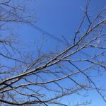 50歳代はハードモード。。人生、これでよかった? #3367