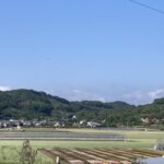 早朝に一人。カメちゃん、おはよう。 #3352