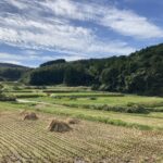 今日も路線バス運転手ごっこ！？ #3358