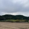 今日もよく働いた。これでよし。 #3361