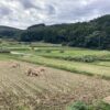 不自由の中にある自由。これが求める「自由」だった。 #3362