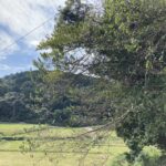 状況的にOKなら、挑戦する。それが自分だ。 #3363