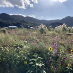 失敗を同僚に話し、気が軽くなる。 #3370