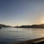 ミセスグリーンアップル、いいな。再認識の日。 #3376