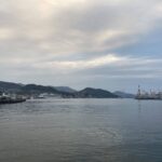 実家で庭仕事。こんな休日がいい。 #3377